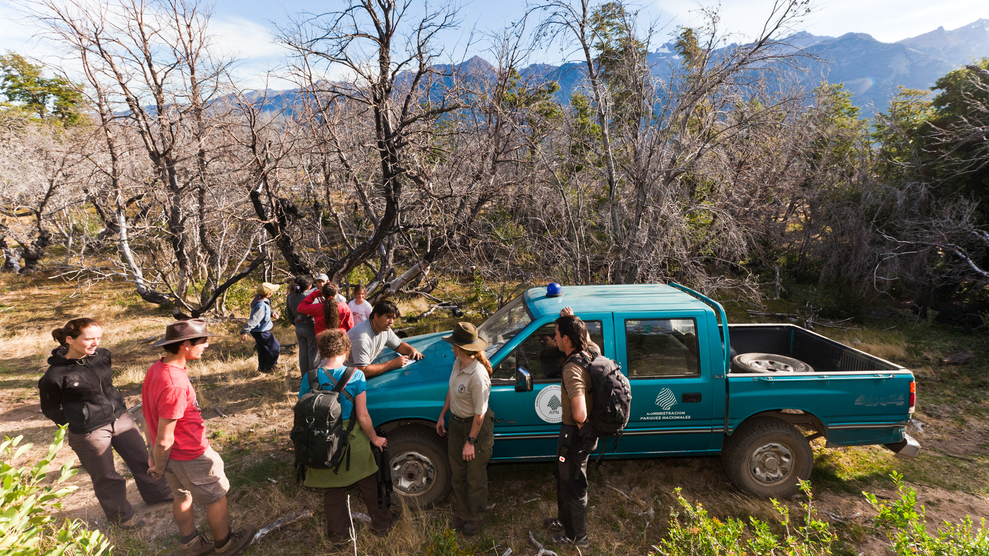Les deux garde-parc (au premier plan à droite) du parc national Los Alerces en Patagonie Argentine viennent d'emmener les élèves de l'école primaire sur le site de l'incendie de 2008 qui a ravagé 7000 hectares de forêt primaire en 2008. Ici, les enfants, avec leur instituteur (en train d'écrire sur le capot de la voiture), ont entamés un projet de reforestation de la zone. Après avoir fait pousser des espèces natives d'arbre en pépinière à l'école, ils viennent les replanter dans la zone incendiée.